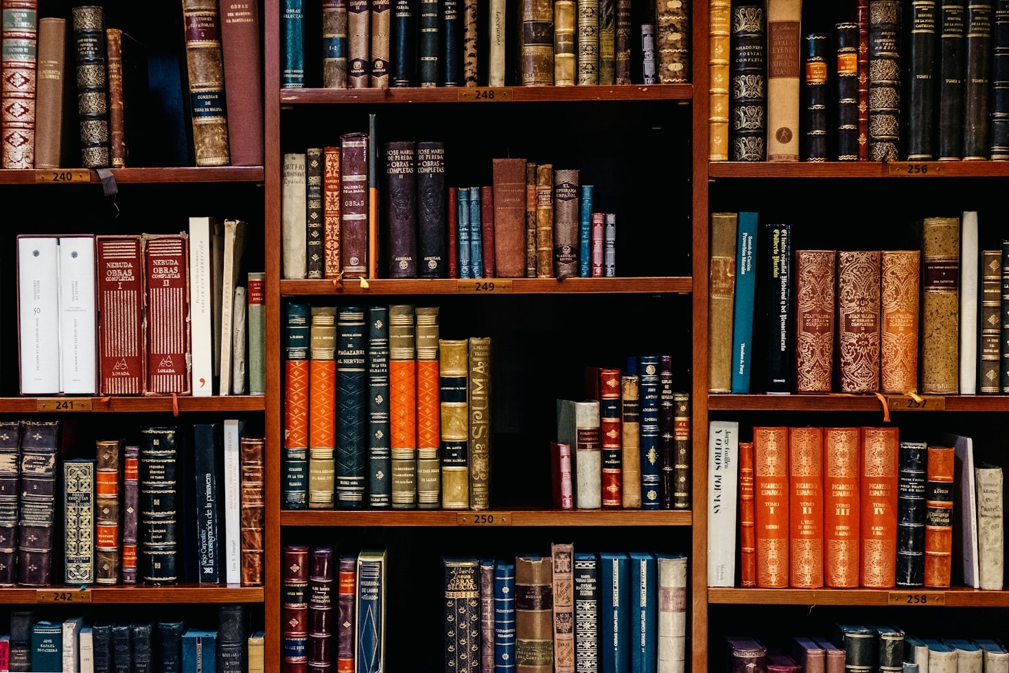 Gli sguardi della letteratura: influenze culturali e personali